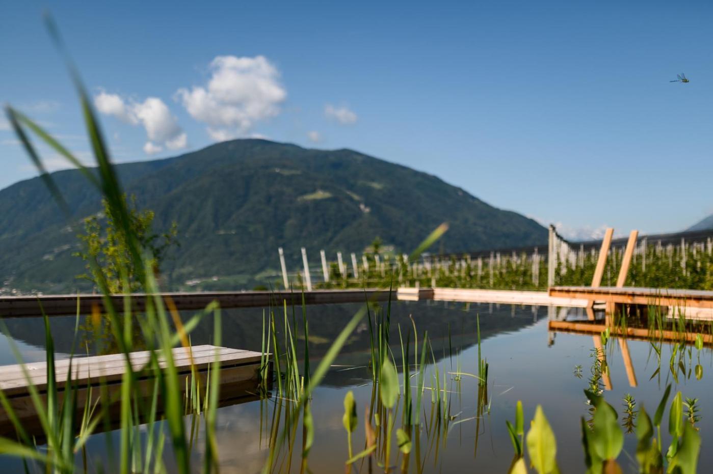 Pataunerhof Betulla Lodge Tirolo Bagian luar foto