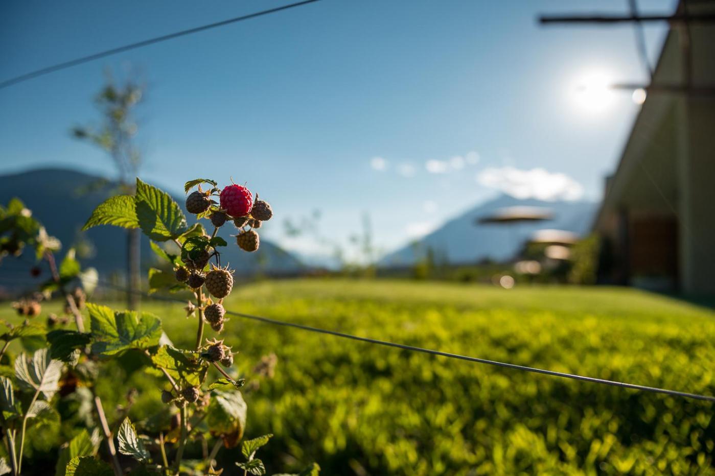 Pataunerhof Betulla Lodge Tirolo Bagian luar foto